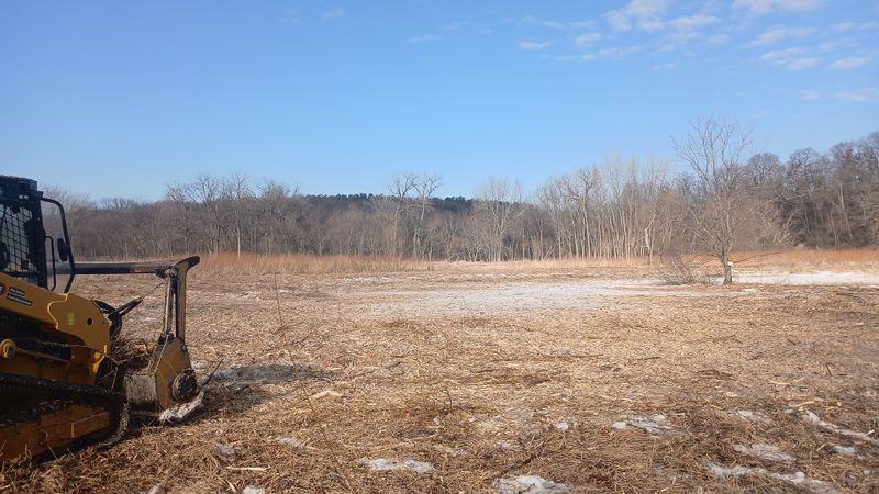 Forestry Mulching