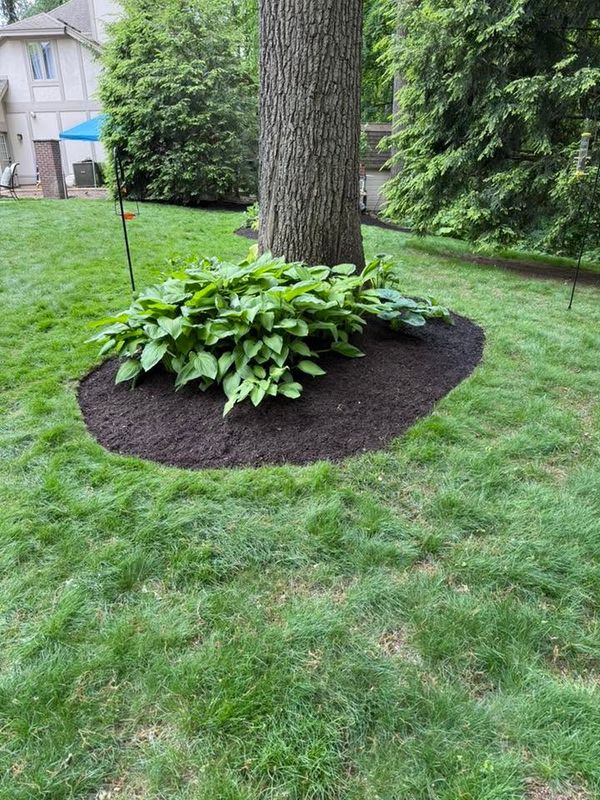 Garden Designs