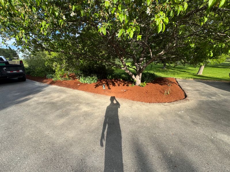 Landscape Design