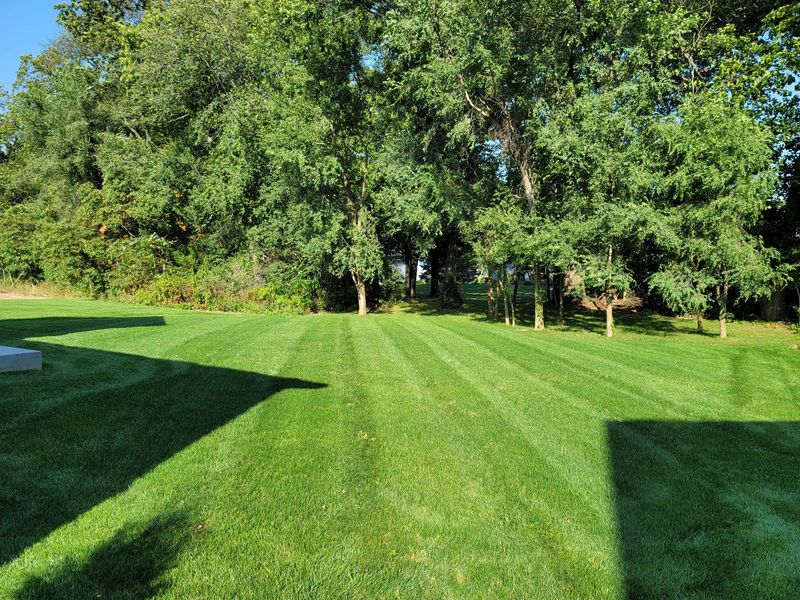 Lawn Care