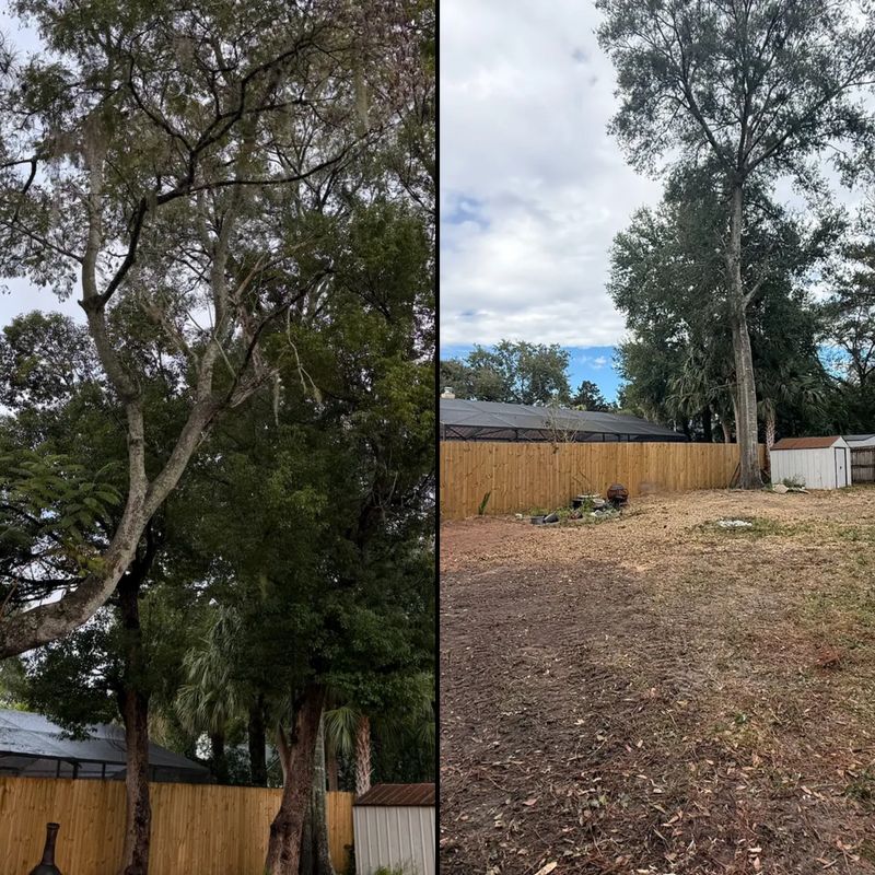 Land Clearing