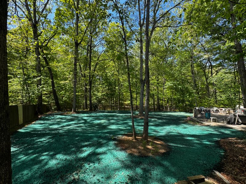 Hydroseeding