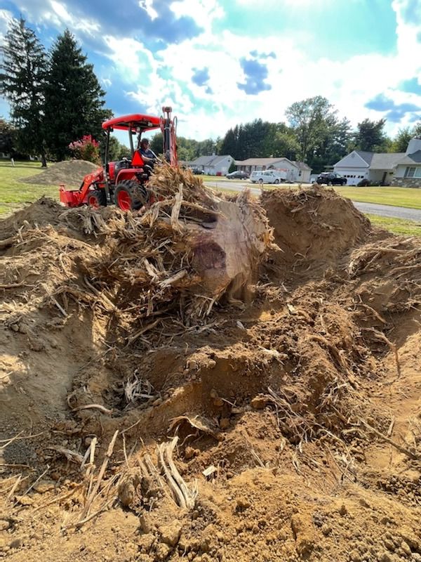 Stump Removal