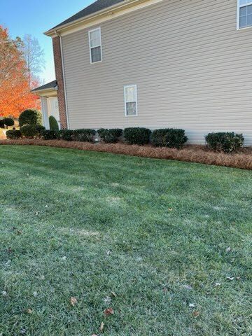 Lawn Care