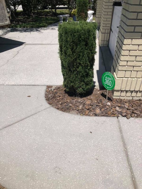 Shrub Trimming