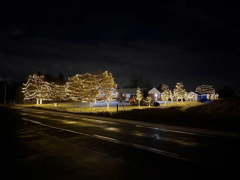 Holiday Lighting
