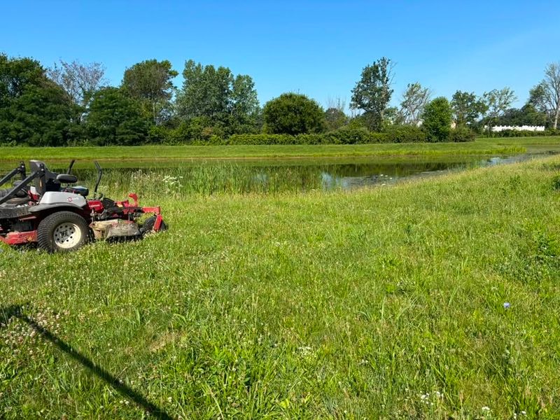 Field Mowing
