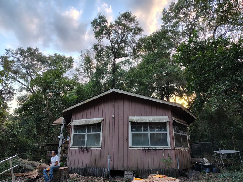 Tree Removal
