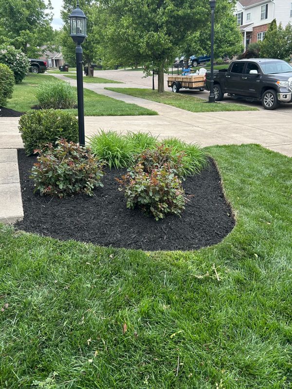 Mulching and Spring Cleanups