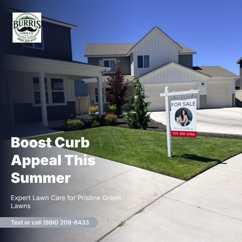 Lawn Mowing and Maintenance