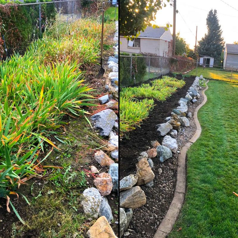 Shrub Trimming