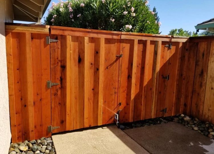 FENCE PICTURES