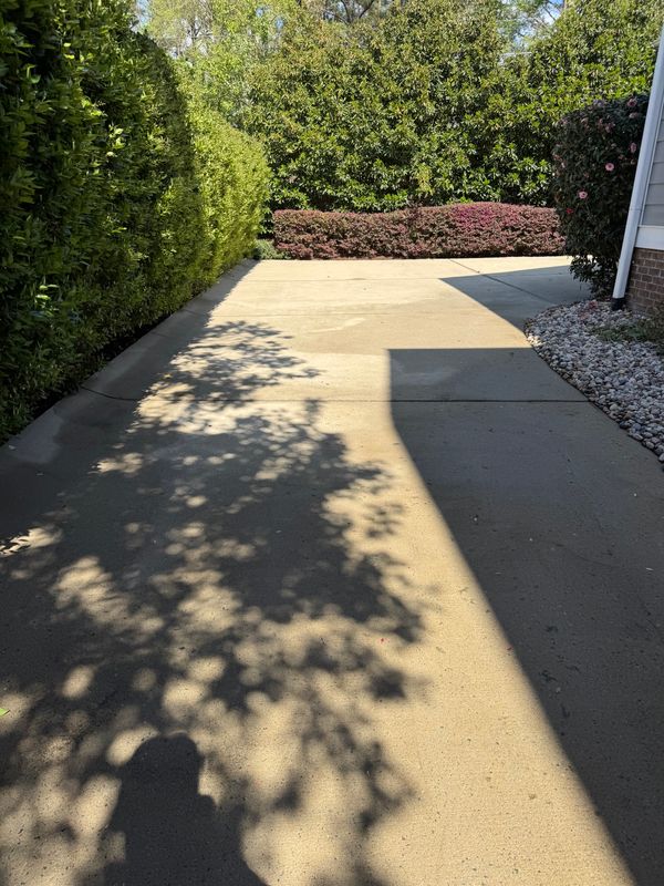Driveway Cleaning