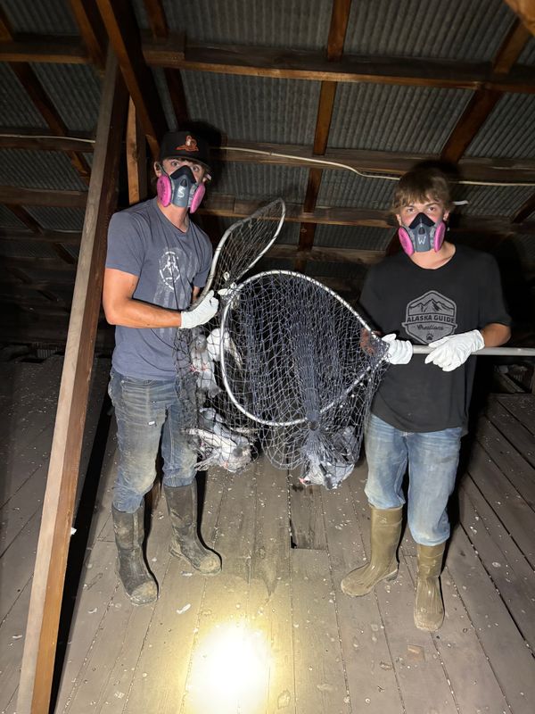 Humane Animal Trapping and Relocation