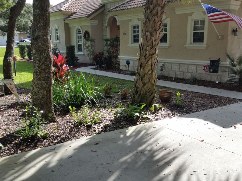 Landscaping
