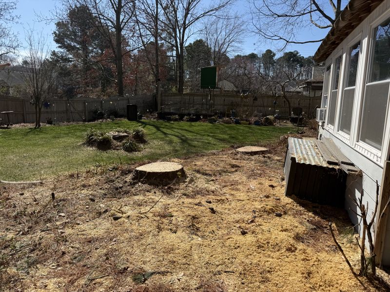 Wood Chips and Debris Removal