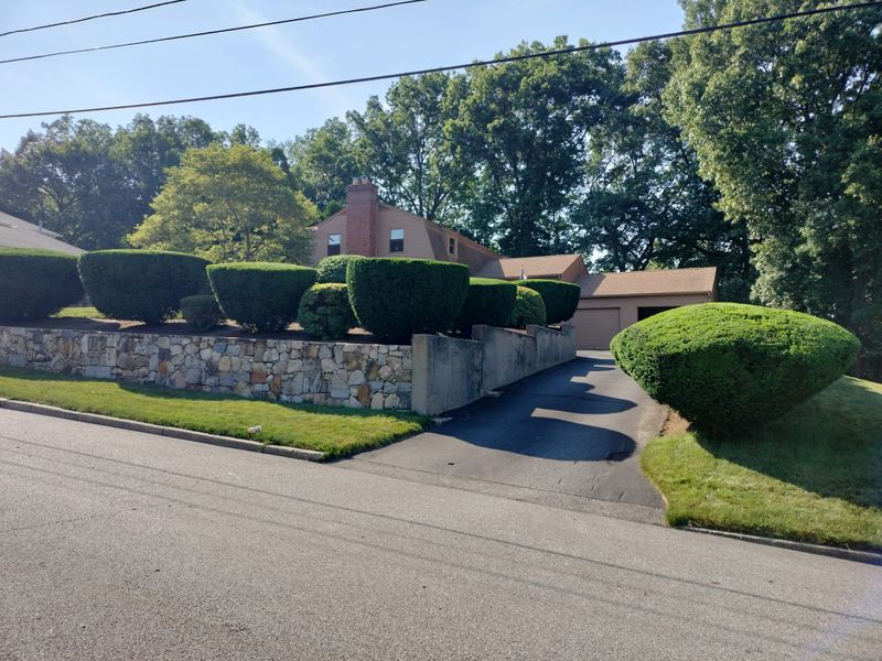 Shrub Trimming