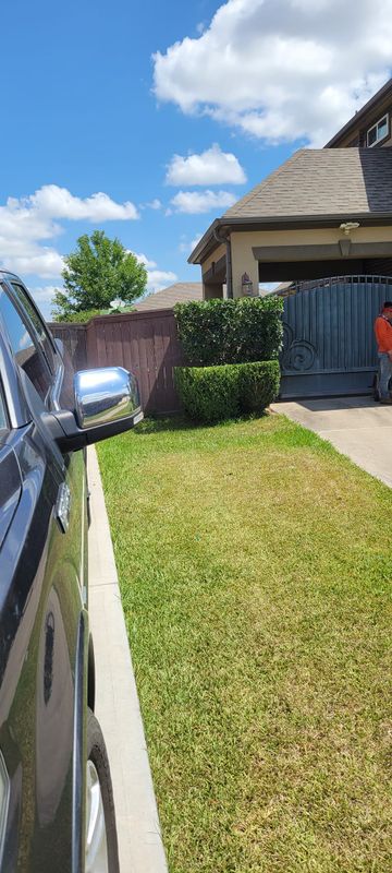 Tree Removal gallery