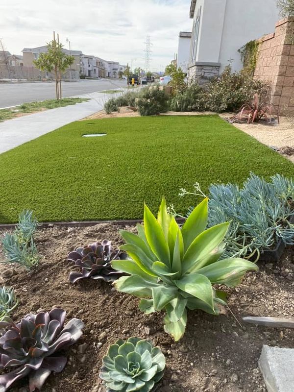 Garden Maintenance