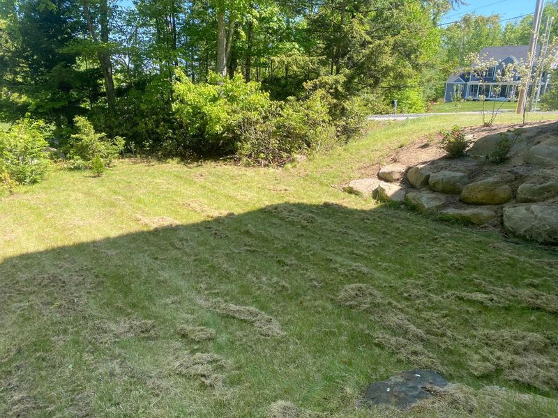 Landscaping