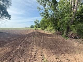 Land Clearing