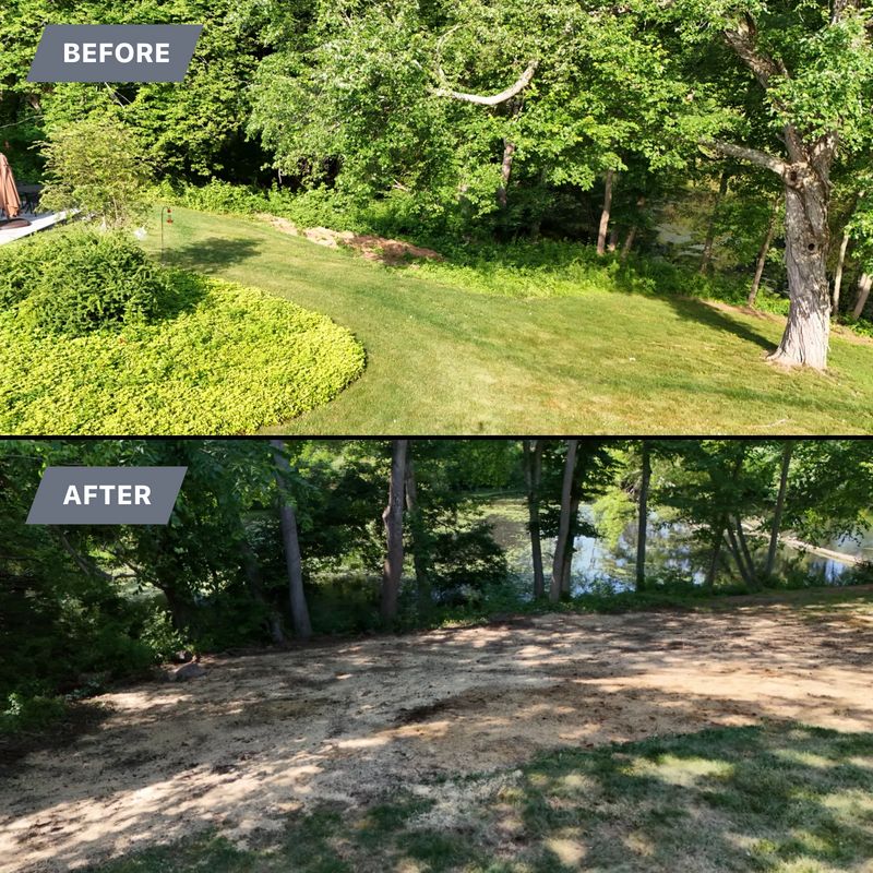 Plantings & Landscape Design