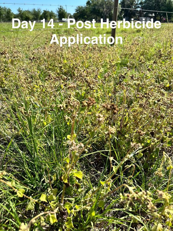 Custom Herbicide Treatments
