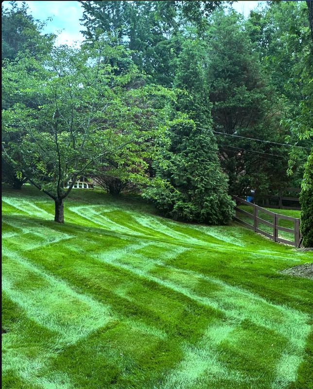 Landscaping & Garden Maintenance