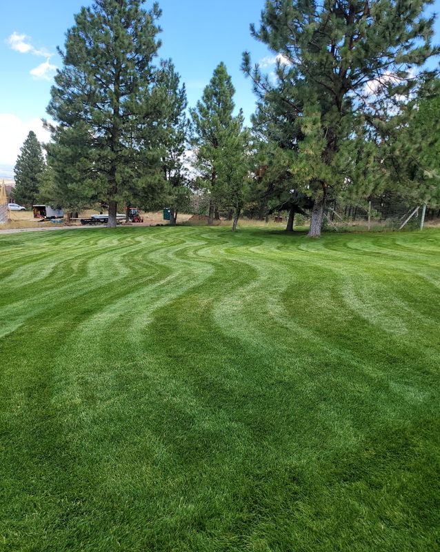 Landscaping