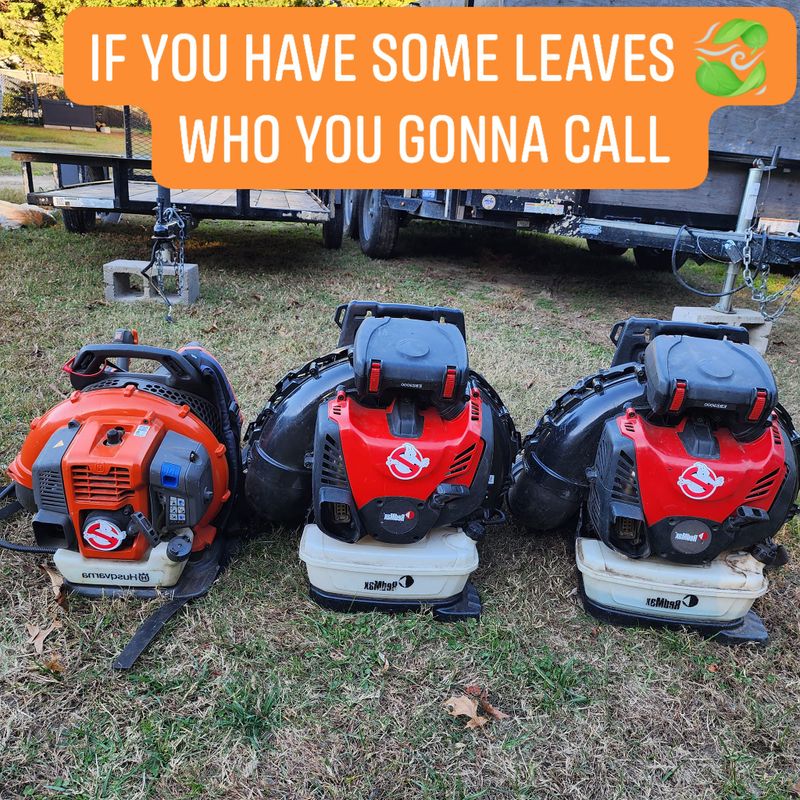Fall and Spring Clean Up