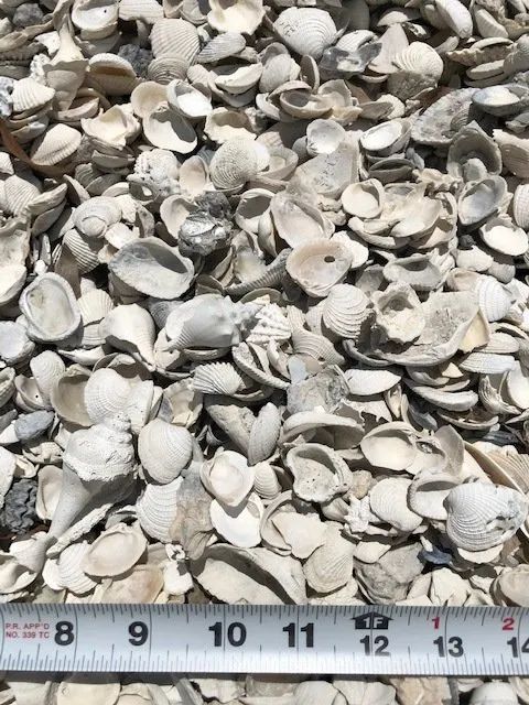 rocks