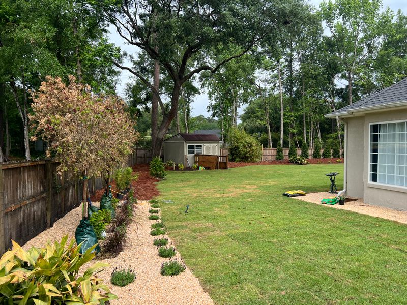 Sod Installation