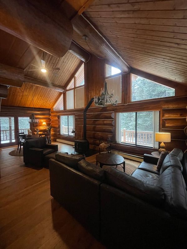 Log Homes Refinishing