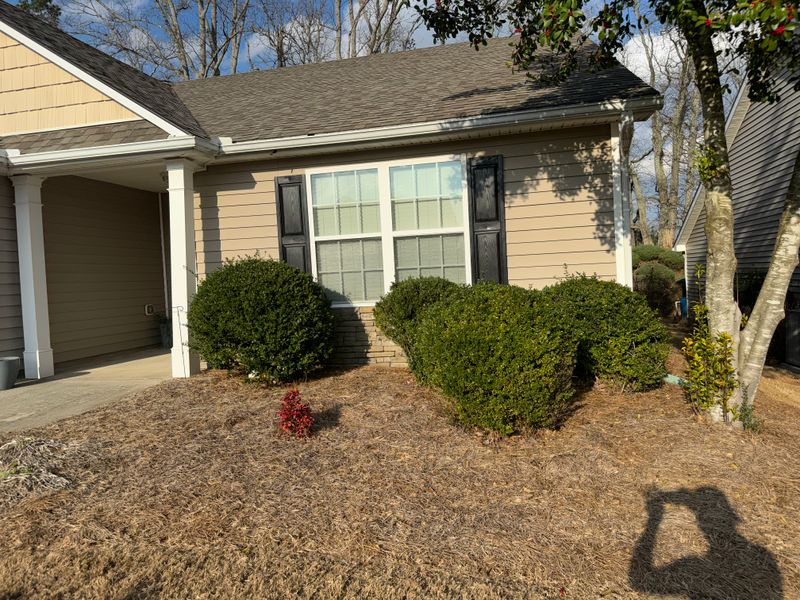 Mulch Installation