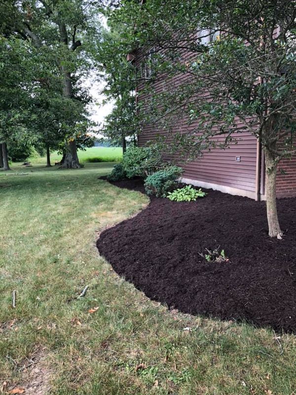 Shrub Trimming
