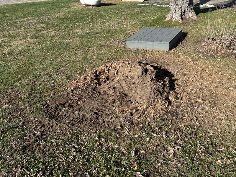 Stump Removal