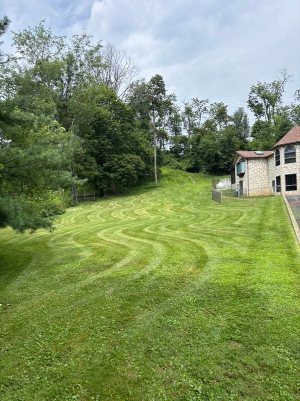 Lawn Maintenance