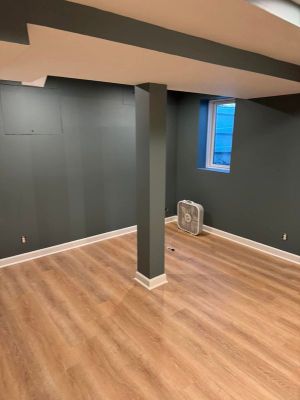 Basement Renovation