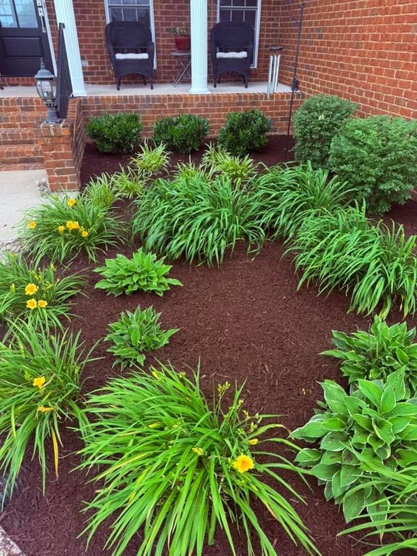 Weed Control