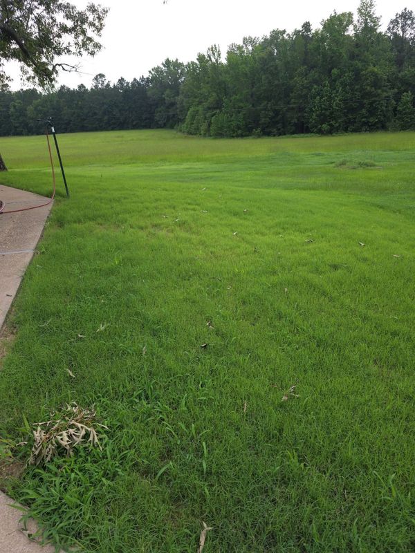 Hydroseeding gallery
