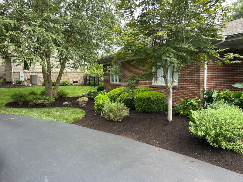 Tree and Shrub Care