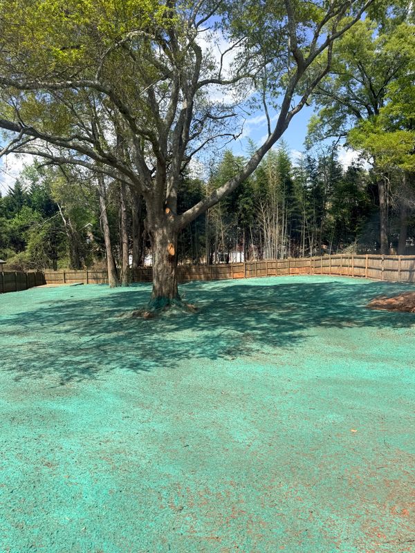 Hydroseeding