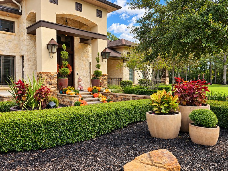 Shrub Trimming