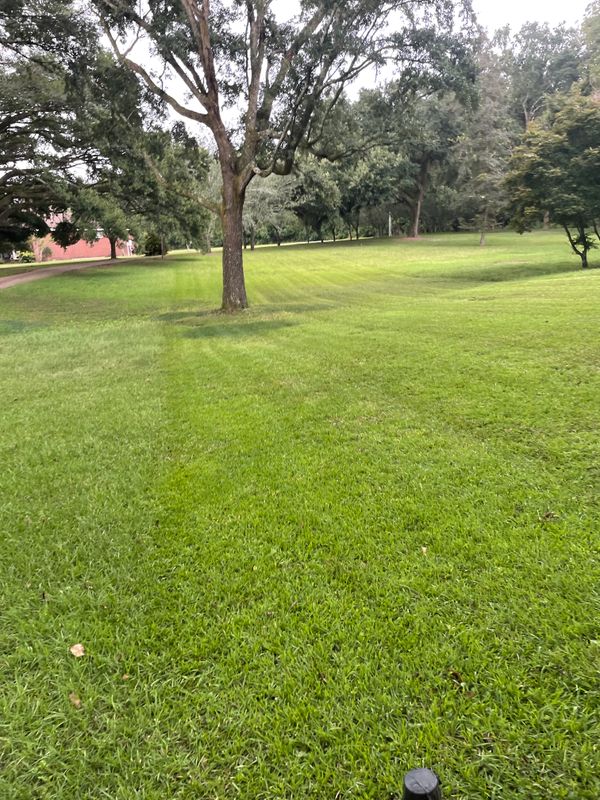 Landscape Maintenance