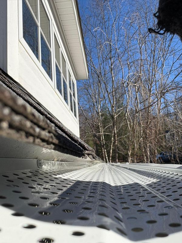 Gutter Cleaning