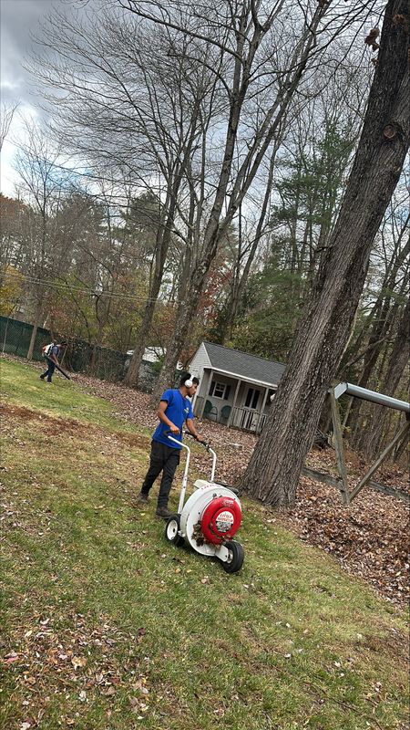 Leaf Removal gallery