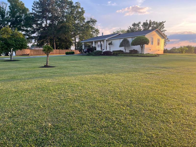Lawn Maintenance