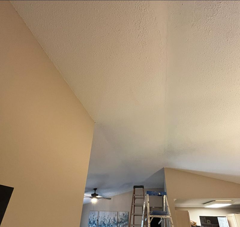 Drywall and Plastering