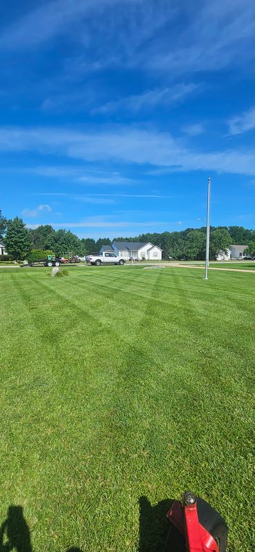 Beautiful Lawns