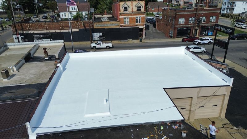 Silicon roof coating
